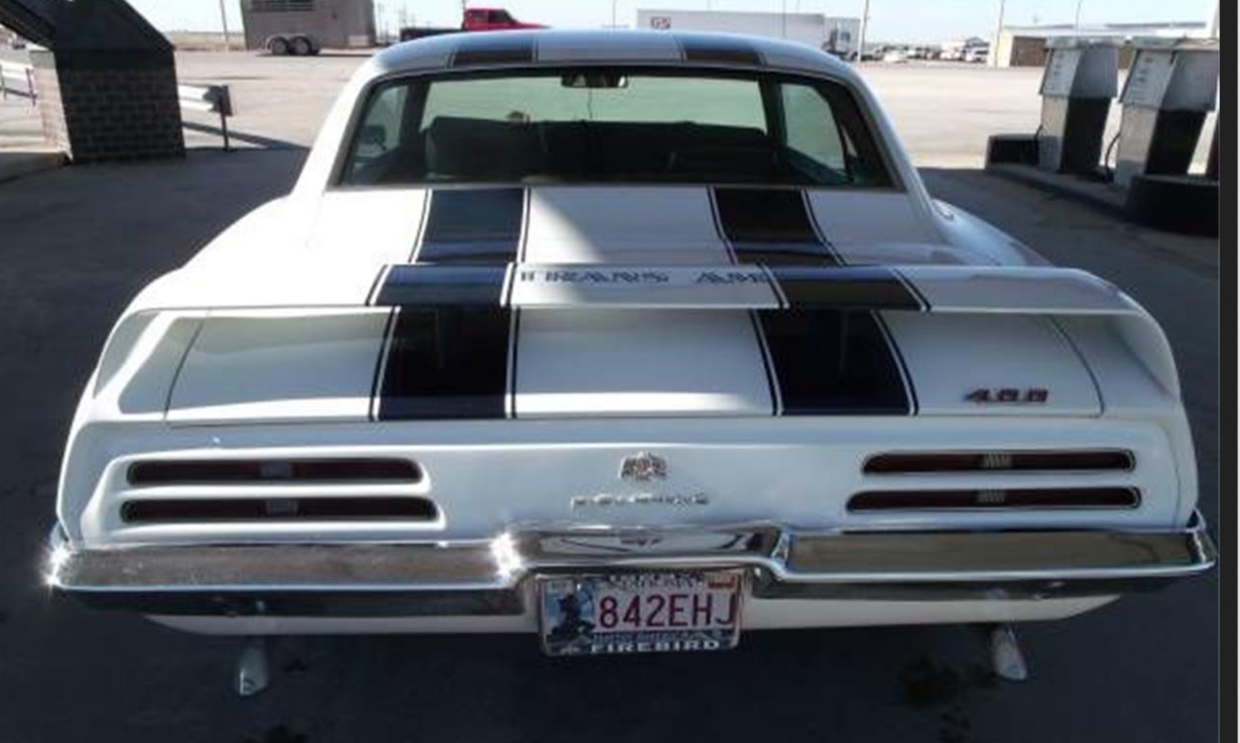 whitedualstripe2.jpg